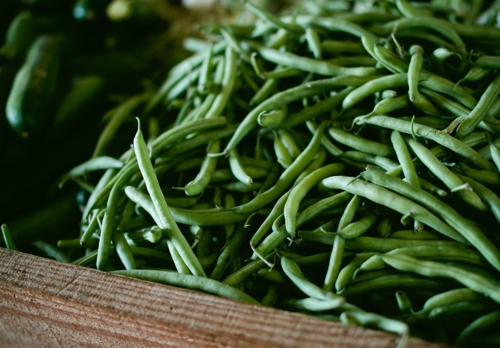 The Environmental Impact of Beans and Legumes: How Nitrogen Fixation Can Benefit Your Garden and the Planet