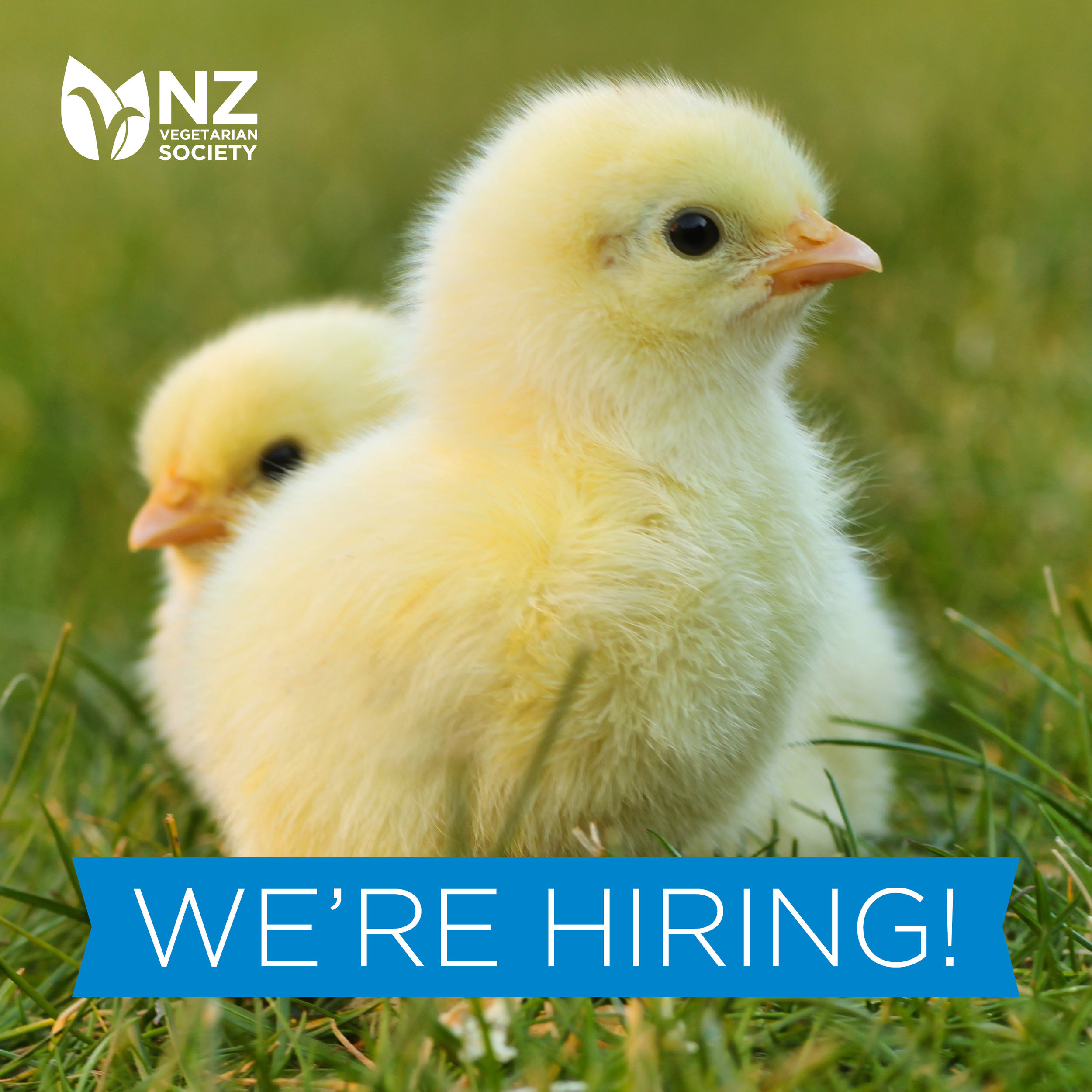 We're looking for a Partnerships Manager!