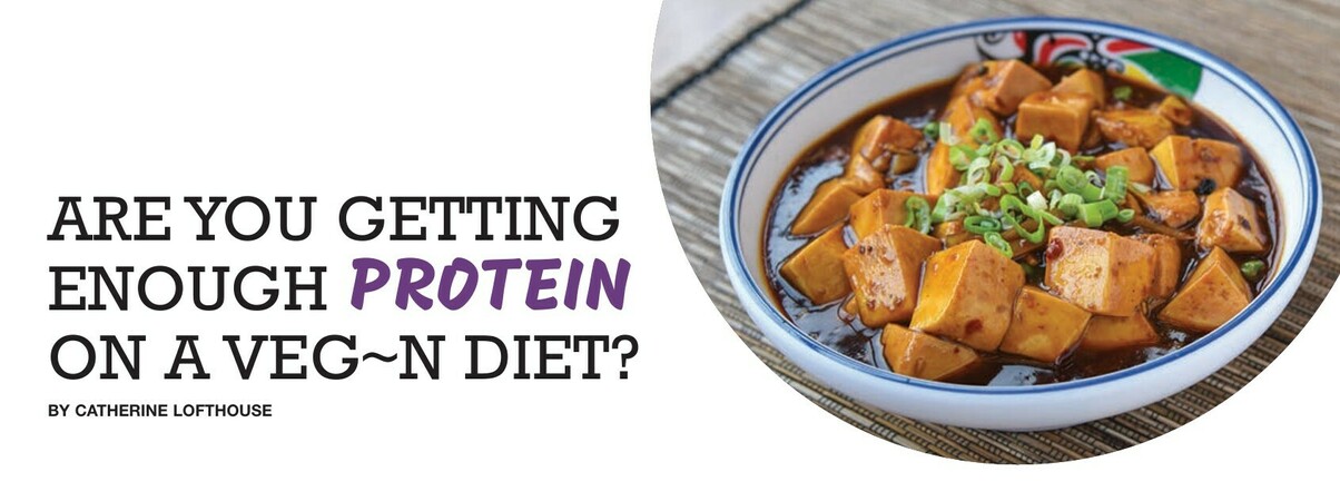 Are You Getting Enough Protein on a Veg~n Diet?