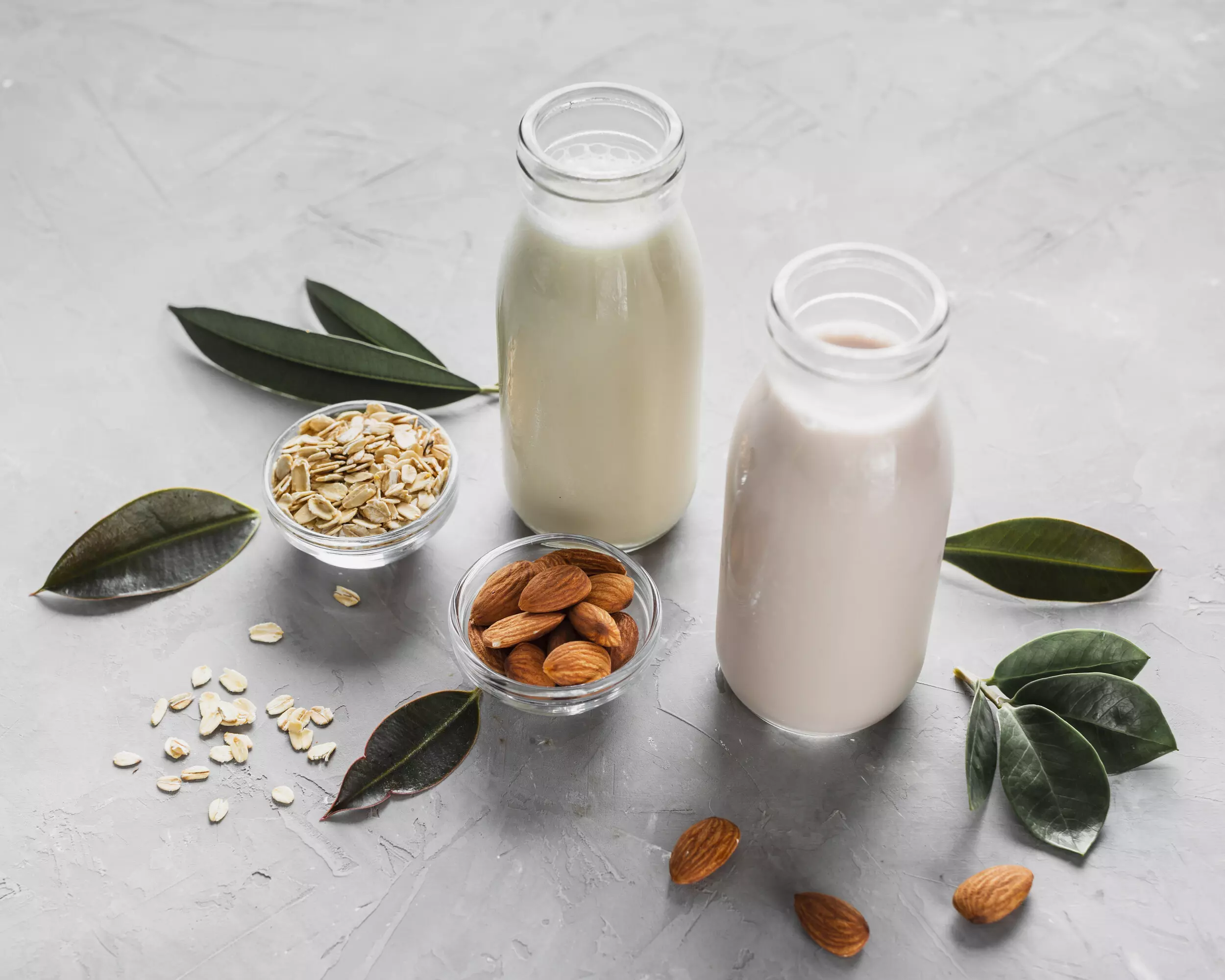 Plant-Based Milks: How to Decide What is Right for You