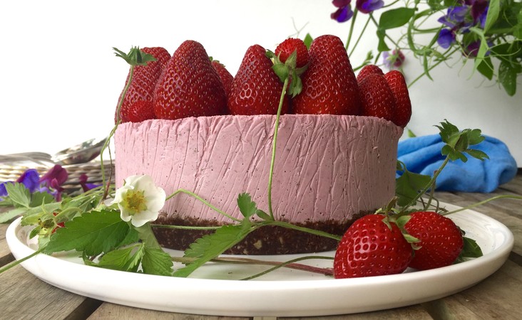 Berry Chocolate Dessert Cake