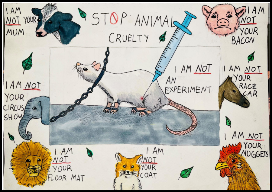 Stop Animal Cruelty - Helka Salo - Top Ten_.pdf